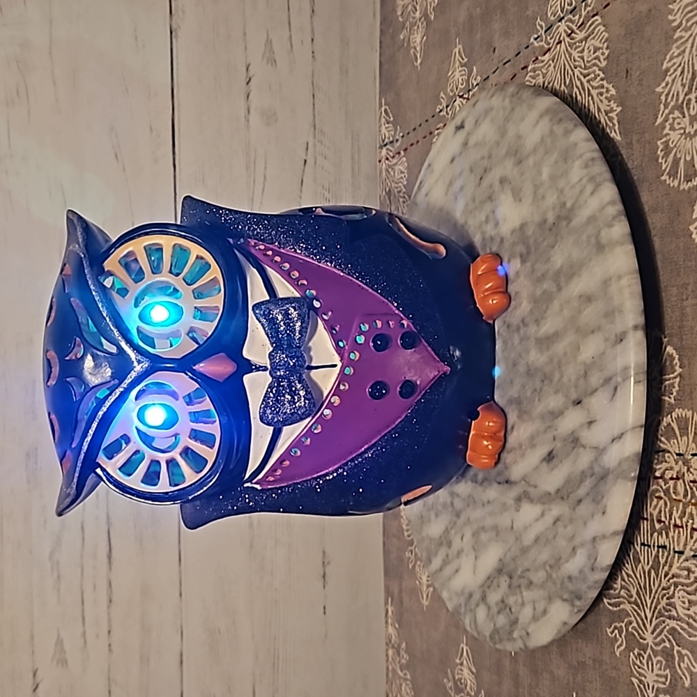 2014 Cracker Barrel LED Color Changing Owl Figurine